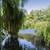 Unbeatable Location! 1 BR/1 BA near Beach & UCSC 2 thumbnail