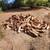 Eucalyptus firewood by the pickup truck load 3 thumbnail