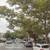 Updated Single Family with Private Parking 3 thumbnail