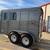 13' Calico 2 Horse Slant Trailer 4 thumbnail