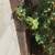 Handyman to fix doors, gate,..ASSEMBLY,Hang TV Maverick (747) 209-8529 5 thumbnail