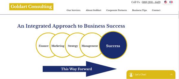 BUSINESS PLAN EXPERT / VIRTUAL CFO 1