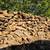 Firewood Delivered & Stacked OR PICKUP for Dripping Springs, DRIP 19 thumbnail