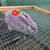 Rabbits 6 thumbnail