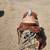 16 1/2" J Bar K Ranch Roping Saddle 3 thumbnail