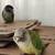 Lost Bird 1 thumbnail