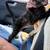 Two kittens 1 thumbnail