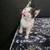 Sweet & Friendly Kittens Need Loving Homes - 9 Weeks Old 12 thumbnail