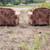 Four Piece Rustic Southwestern Lodge Living Room Set – Cabin / Ranch Style 5 thumbnail