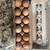 Eggs 1 thumbnail