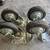 4 wheel casters with screws with washers 1 thumbnail