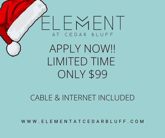 1 Bedroom Apartment – $999/mo (Cable & Internet Included!)😎 1