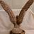 LARGE 19.5" Chalkware EAGLE Sculpture Signed HUGHES Dated 1975 10 thumbnail