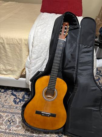 Fever Model guitar hand crafted for sale 1