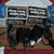 CB Radio Antennas, Transformers, (sports) (hx) 2 thumbnail