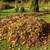 Leaf pickup 2 thumbnail