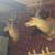 Deer mounts 3 thumbnail