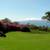 Amagi lawn & landscaping 9 thumbnail