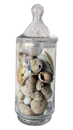 ACCENT JAR OF SHELLS 1