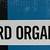 Pegboard Tool Organizer by Everbilt - 95 piece 2 thumbnail