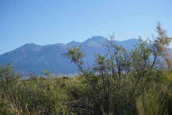 $175 Spacious Lot - Only 10 Minutes from Town! (Alamosa, CO)64151629351299120