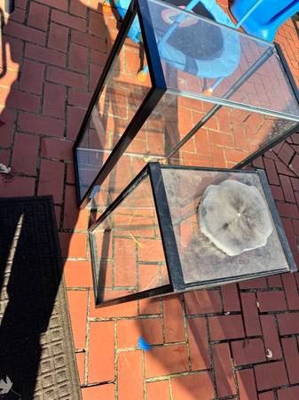 29 and 20 gallon fish tank 1