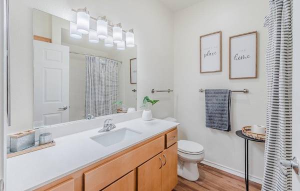 $1,907 / 4br - 1300ft2 - Set the stage for endless memories: Our 4 BR, 2 BA beckons! (Dallas)63796375847809121