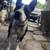 American bully 2 thumbnail