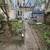 31 Montrose Ave - Williamsburg - Available ASAP | $1,300 per room 20 thumbnail
