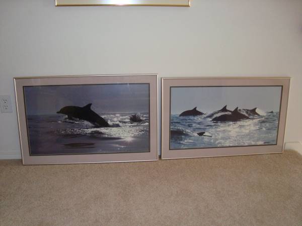 Two Dolphin Pictures with frames  34” X 22” 1