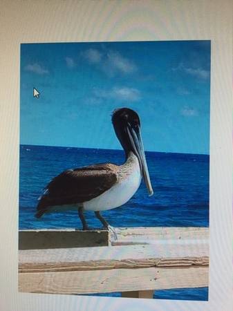 $575 / 1br - 400ft2 - THE TIME HAS COME TO MAKE THE MOVE - READY NOW $575/WK AT THE BEACH (Deerfield Beach)63983674892035121