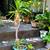 Garden Yucca plant with new off-shoot 1 thumbnail
