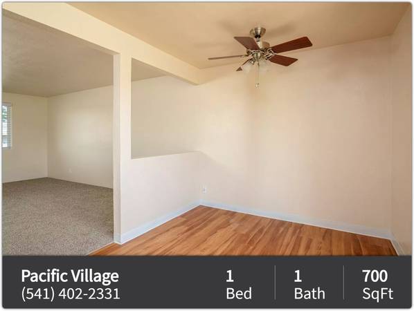 $1,291 / 1br - 700ft2 - Animal lover? This is the purrfect place for you! We are pet friendly! (Springfield)63977278941443122