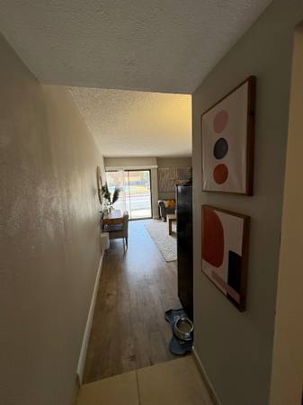 $765 / 364ft2 - ¡ESTUDIOS ECONÓMICOS! LISTOS PARA MUDARSE - LOS MEJORES PRECIOS EN COS (Centro de Colorado Springs)63668452643585123