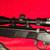 Muzzleloader with Nikon 3 thumbnail