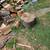 Cutting wood 9 thumbnail
