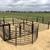 Cattle Pens / Handling Systems - Heavy Duty 10 thumbnail
