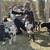 Fainting Goats, Tiny Mini Silkys 6 thumbnail