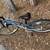 Raleigh M20 1 thumbnail