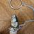 Frog Wine Bottle Cork Stopper: Like-new 2 thumbnail