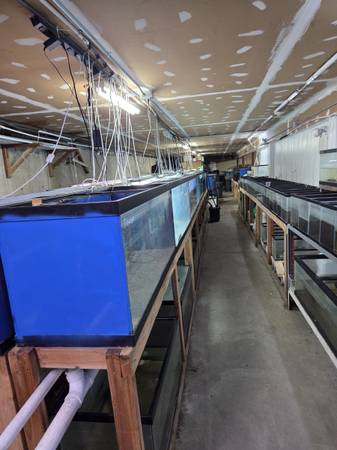Used AQUEON and MARINELAND 75 gallon reef ready aquariums 1