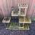 Multi-level plant shelf 1 thumbnail