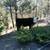 Cows 3 thumbnail