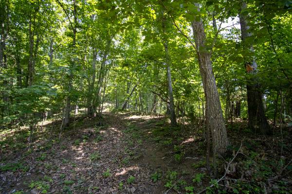 $45,000 Dumpy Land (Abingdon)63848628168193123