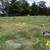 Cemetery Plots @ Washington National Cemetery double depth Maryland 5 thumbnail