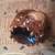 Costume Cocktail Ring Blue Sapphire Size 8 1 thumbnail