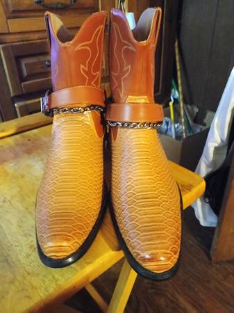 Brand New Snake Boots 1