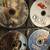 Large binder of DVD's! ~40 8 thumbnail