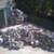 * JUNK & TRASH REMOVAL DUMP RUNS YARD CLEAN UPS 5 thumbnail
