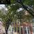 750 - Upper Fells Point - North Broadway and Ashland Ave 4 thumbnail